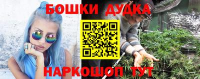 спиды Обь